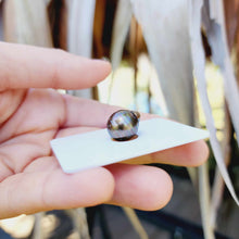 Load image into Gallery viewer, Civa Fiji Loose Saltwater Pearl - FJD$

