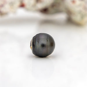 Civa Fiji Loose Saltwater Pearl - FJD$