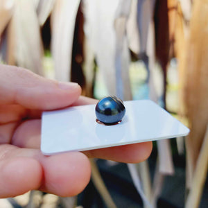 Civa Fiji Loose Saltwater Pearl - FJD$