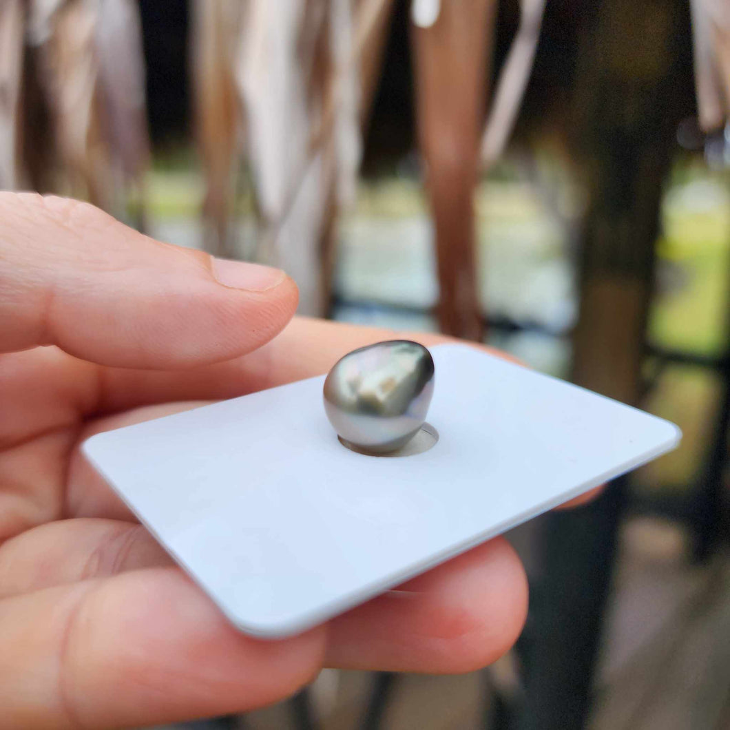 Civa Fiji Loose Saltwater Pearl - FJD$