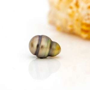 Civa Fiji Loose Saltwater Pearl - FJD$