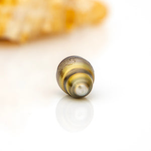 Civa Fiji Loose Saltwater Pearl - FJD$