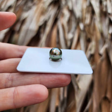 Load image into Gallery viewer, Civa Fiji Loose Saltwater Pearl - FJD$
