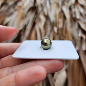 Civa Fiji Loose Saltwater Pearl - FJD$