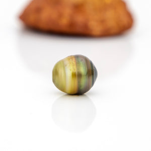 Civa Fiji Loose Saltwater Pearl - FJD$