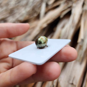 Civa Fiji Loose Saltwater Pearl - FJD$