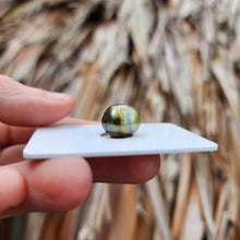 Load image into Gallery viewer, Civa Fiji Loose Saltwater Pearl - FJD$
