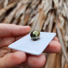 Load image into Gallery viewer, Civa Fiji Loose Saltwater Pearl - FJD$
