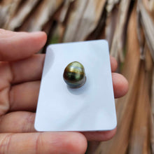 Load image into Gallery viewer, Civa Fiji Loose Saltwater Pearl - FJD$
