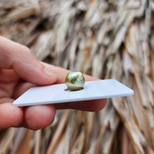Load image into Gallery viewer, Civa Fiji Loose Saltwater Pearl - FJD$

