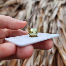 Load image into Gallery viewer, Civa Fiji Loose Saltwater Pearl - FJD$

