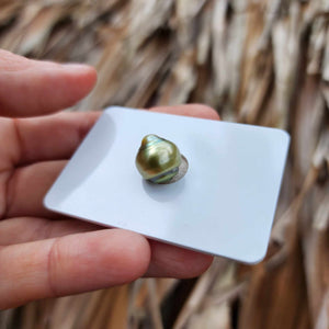 Civa Fiji Loose Saltwater Pearl - FJD$