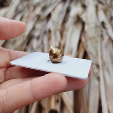 Load image into Gallery viewer, Civa Fiji Loose Saltwater Pearl - FJD$
