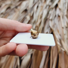 Load image into Gallery viewer, Civa Fiji Loose Saltwater Pearl - FJD$
