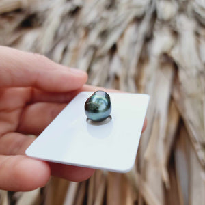 Civa Fiji Loose Saltwater Pearl - FJD$