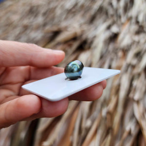 Civa Fiji Loose Saltwater Pearl - FJD$