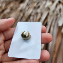 Load image into Gallery viewer, Civa Fiji Loose Saltwater Pearl - FJD$
