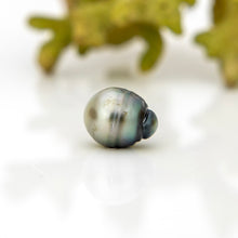 Load image into Gallery viewer, Civa Fiji Loose Saltwater Pearl - FJD$
