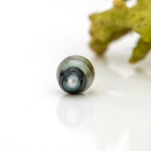 Load image into Gallery viewer, Civa Fiji Loose Saltwater Pearl - FJD$
