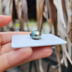 Civa Fiji Loose Saltwater Pearl - FJD$
