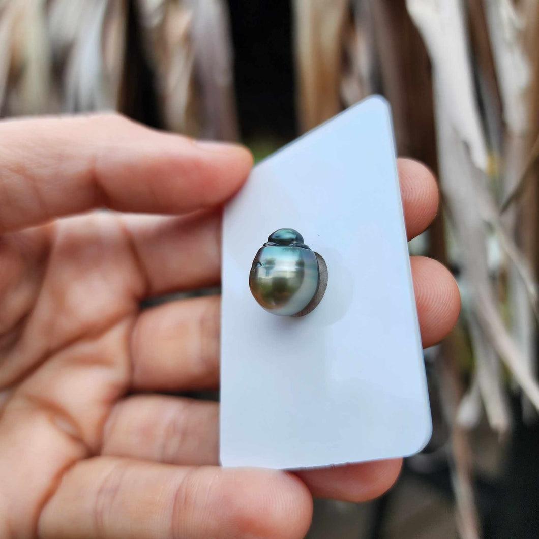 Civa Fiji Loose Saltwater Pearl - FJD$