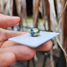 Load image into Gallery viewer, Civa Fiji Loose Saltwater Pearl - FJD$
