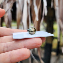 Load image into Gallery viewer, Civa Fiji Loose Saltwater Pearl - FJD$

