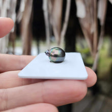 Load image into Gallery viewer, Civa Fiji Loose Saltwater Pearl - FJD$
