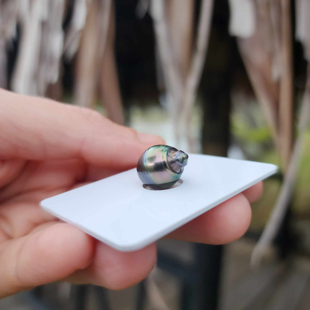 Civa Fiji Loose Saltwater Pearl - FJD$