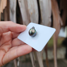 Load image into Gallery viewer, Civa Fiji Loose Saltwater Pearl - FJD$
