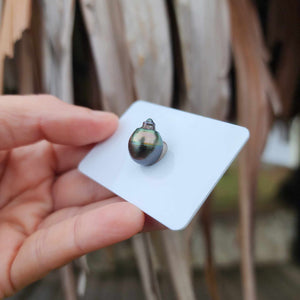 Civa Fiji Loose Saltwater Pearl - FJD$