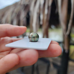 Civa Fiji Loose Saltwater Pearl - FJD$
