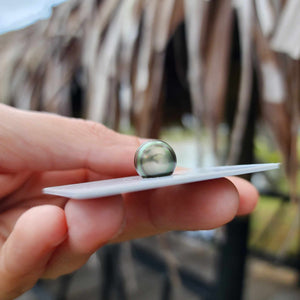 Civa Fiji Loose Saltwater Pearl - FJD$