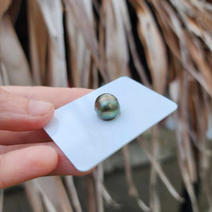 Civa Fiji Loose Saltwater Pearl - FJD$