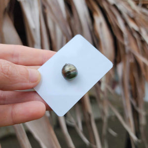Civa Fiji Loose Saltwater Pearl - FJD$