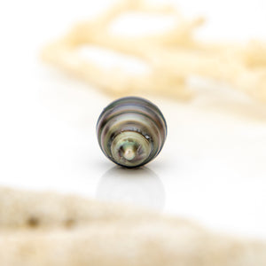 Civa Fiji Loose Saltwater Pearl - FJD$