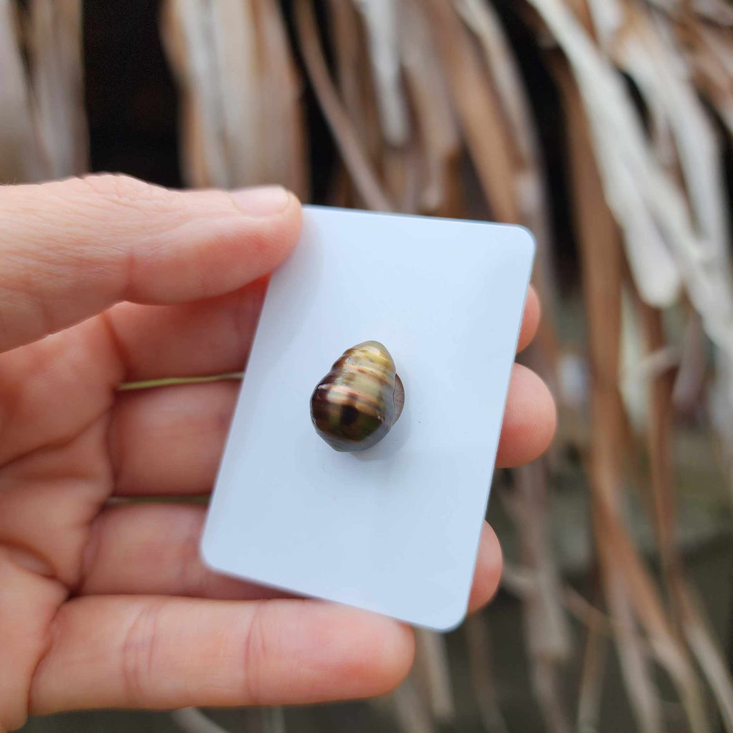 Civa Fiji Loose Saltwater Pearl - FJD$