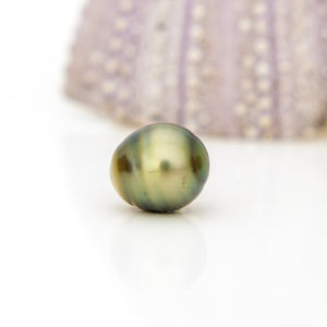 Civa Fiji Loose Saltwater Pearl - FJD$