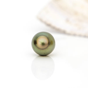 Civa Fiji Loose Saltwater Pearl - FJD$