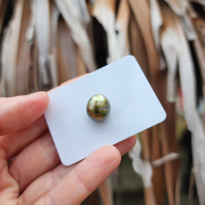 Civa Fiji Loose Saltwater Pearl - FJD$