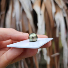 Load image into Gallery viewer, Civa Fiji Loose Saltwater Pearl - FJD$
