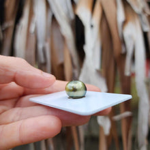 Load image into Gallery viewer, Civa Fiji Loose Saltwater Pearl - FJD$
