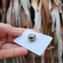 Load image into Gallery viewer, Civa Fiji Loose Saltwater Pearl - FJD$
