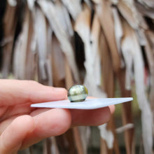 Load image into Gallery viewer, Civa Fiji Loose Saltwater Pearl - FJD$
