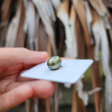 Load image into Gallery viewer, Civa Fiji Loose Saltwater Pearl - FJD$

