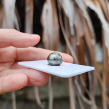 Load image into Gallery viewer, Civa Fiji Loose Saltwater Pearl - FJD$
