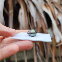 Load image into Gallery viewer, Civa Fiji Loose Saltwater Pearl - FJD$
