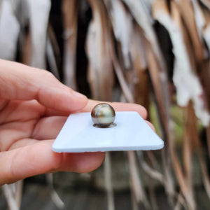 Civa Fiji Loose Saltwater Pearl - FJD$