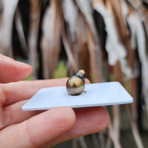 Civa Fiji Loose Saltwater Pearl - FJD$