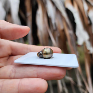 Civa Fiji Loose Saltwater Pearl - FJD$
